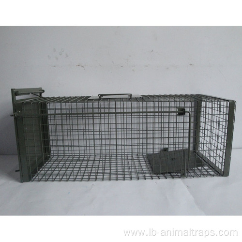 Animal Trap Single Door Live Animal Cage trap